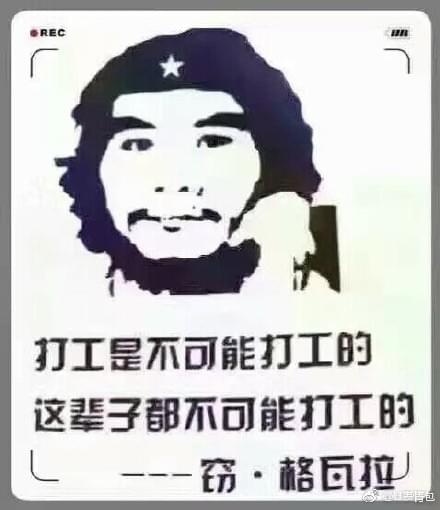 网赚交易担保；散户赚钱无忧